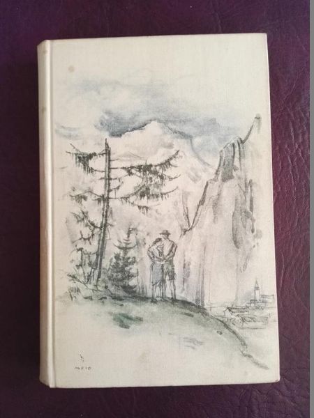 "Der Wetterwart" von J. C. Heer