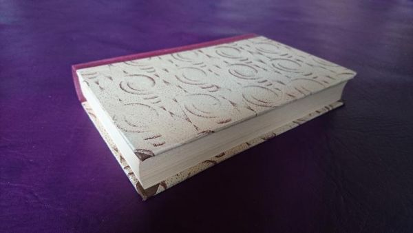 Meister Beugnon von Romain Rolland