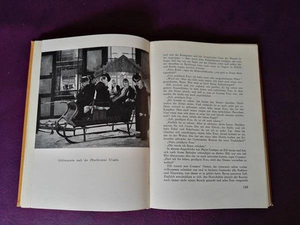 Roman Effi Briest von Theodor Fontane