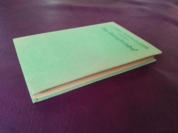 Der Sternsteinhof von Ludwig Anzengruber