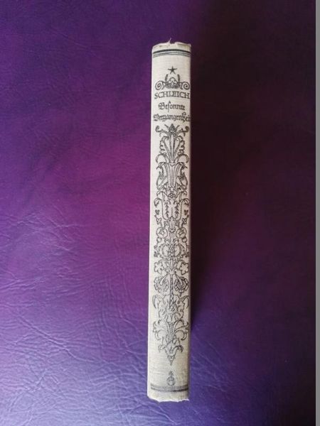 Besonnte Vergangenheit von Carl Ludwig Schleich