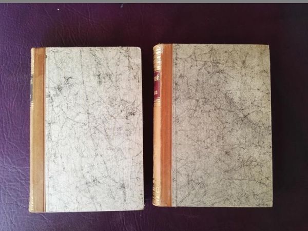 "Die Dämonen" von Dostojewski (in 2 Bänden)