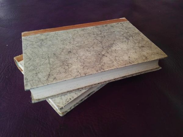 "Die Dämonen" von Dostojewski (in 2 Bänden)