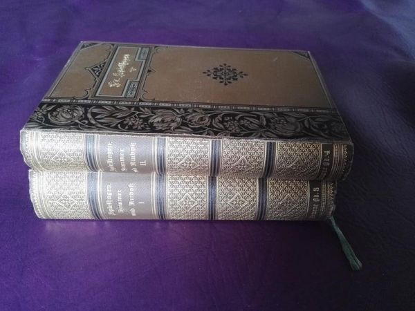 Friedrich Spielhagens Sämtliche Romane - Hammer und Amboss, Band 1-2