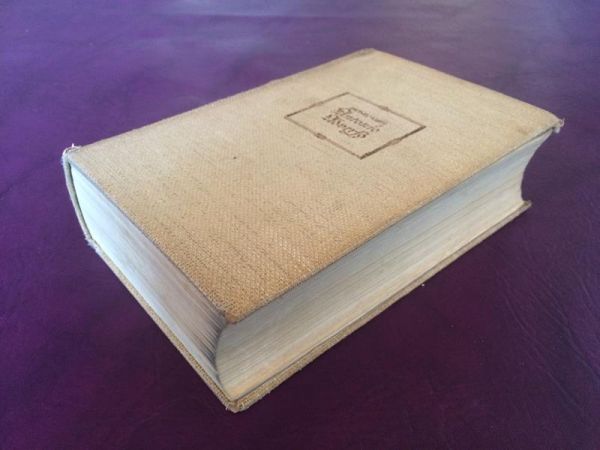 Antonio Adverso von Hervey Allen