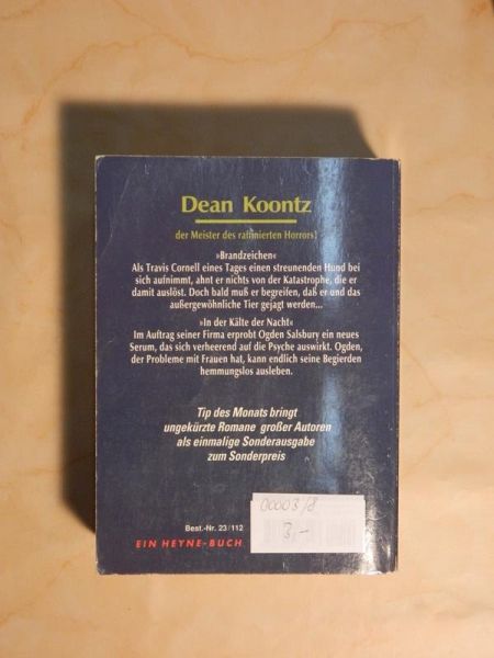 Dean Koontz - Brandzeichen, In der Kälze der Nacht