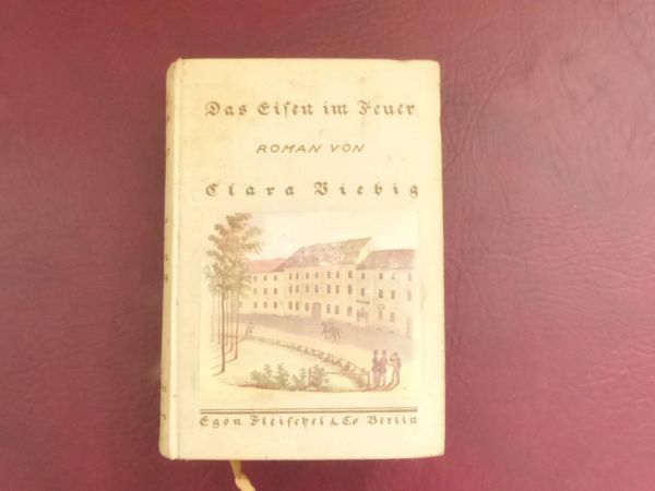 Clara Viebig, Das Eisen im Feuer