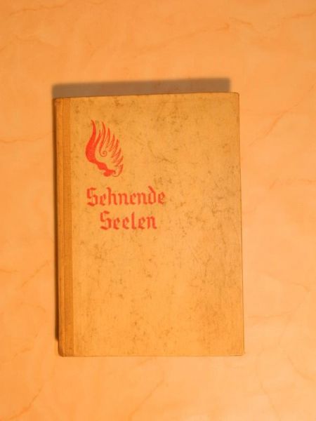 Gedichtband "Sehnende Seelen - Das Buch der Sehnsucht" von Fischer Friesenhausen
