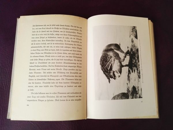 Die Liebesgeschichten einer Wildgans von Bengt Berg