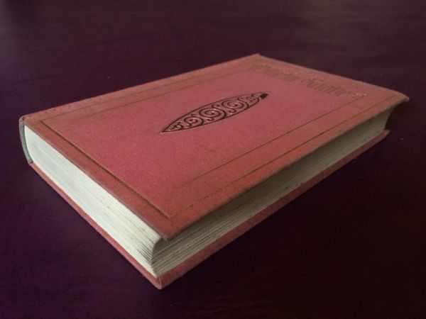 Die Chronik der Sperlingsgasse von Wilhelm Raabe