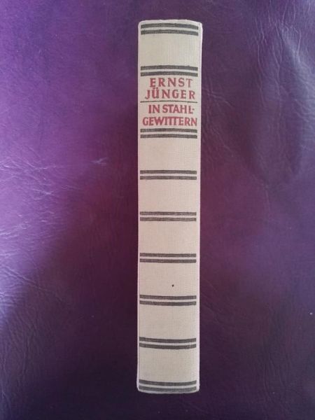 "In Stahlgewittern" von Ernst Jünger