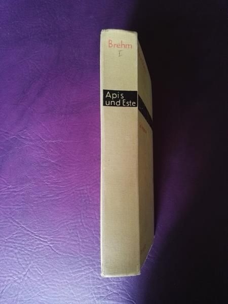 Apis und Este von Bruno Brehm