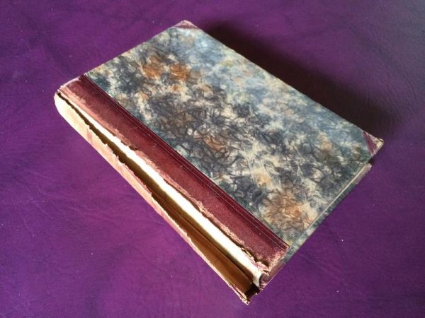 Die Millionenbraut von A. Dumas-Mützelburg