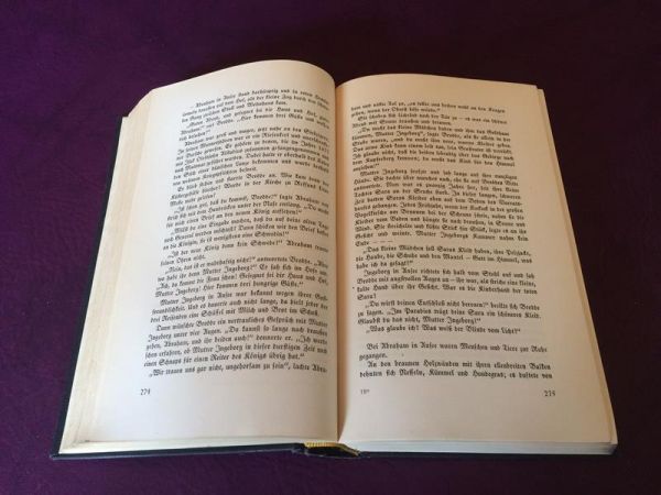 Im Zeichen des Hammers von Johann Falkberget