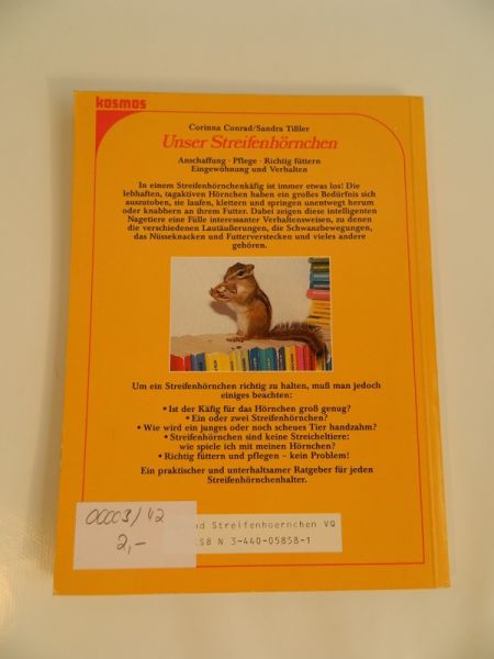 Unser Streifenhörnchen