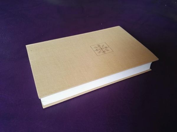 Schneesturm von A. E. Johann