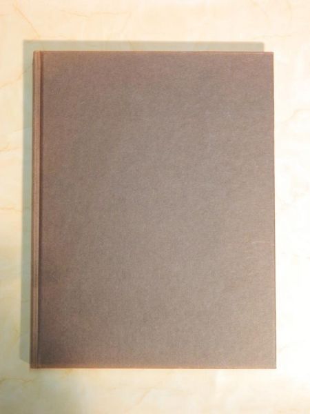 "Reise durch Ramibia" von Amin, Willetts und Shah