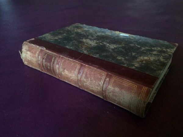 Die Millionenbraut von A. Dumas-Mützelburg