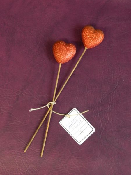2 Deko-Pflanzen-Stecker Herz