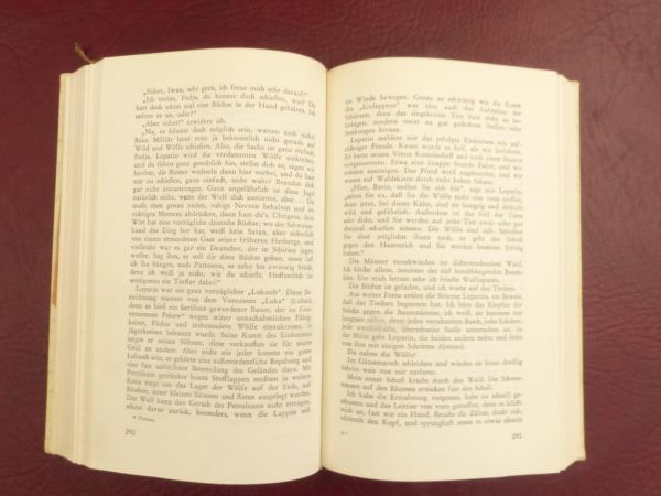 Theodor Kröger, Das vergessene Dorf