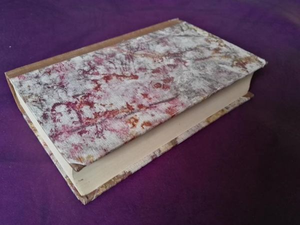 Kampf und Reife von Jakob Schaffner