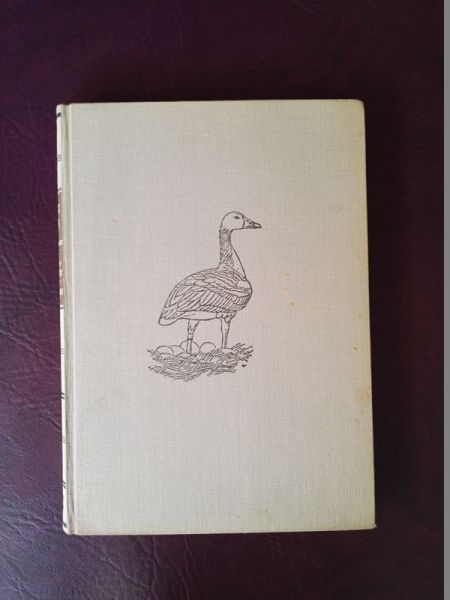 Die Liebesgeschichten einer Wildgans von Bengt Berg