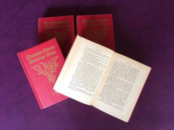 Theodor Storms Sämtliche Werke, 8 Bände in 4 Büchern