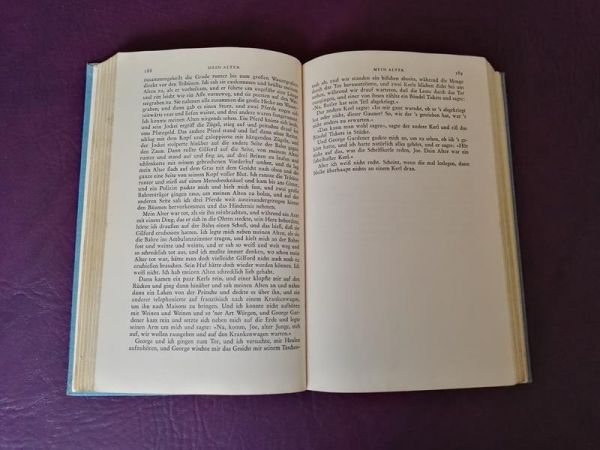 49 Stories von Ernest Hemingway