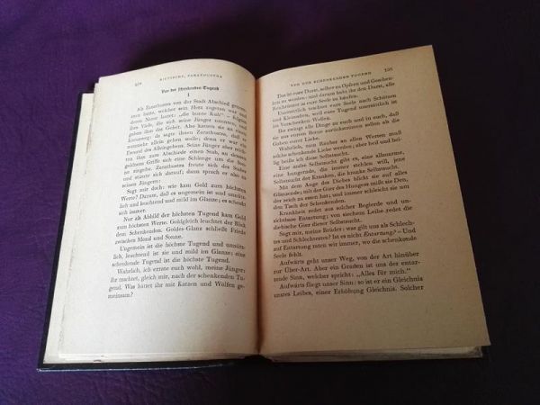 Also sprach Zarathustra von Nietzsche