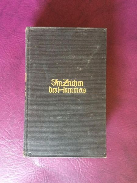 Im Zeichen des Hammers von Johann Falkberget