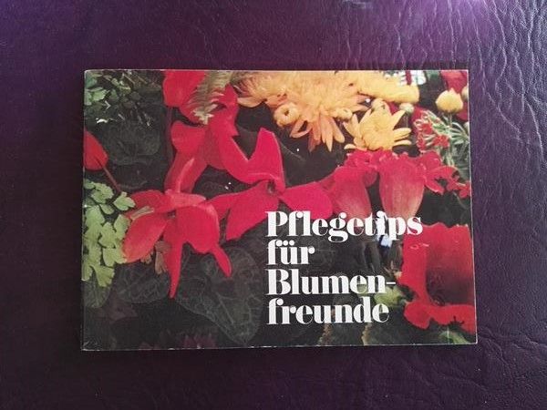Pflegetipps für Blumenfreunde