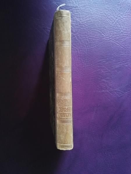 Bracke - Ein Eulenspiegelroman von Klabund