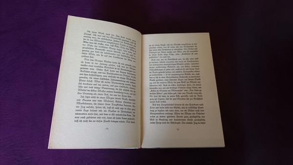 Afrikanische Spiele von Ernst Jünger