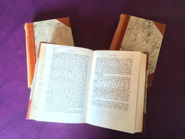 Hauffs Werke, 6 Teile in 3 Bänden