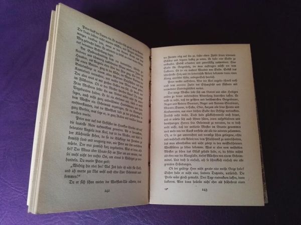 Die Geige von Gierer